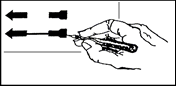 image of ballot